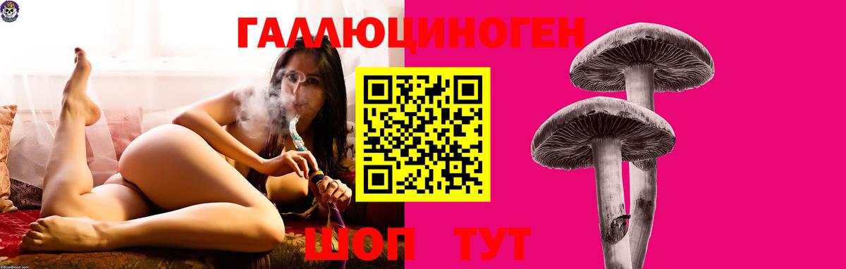 Якутск  Псилоцибиновые грибы MAGIC MUSHROOMS  Вход с VPN 